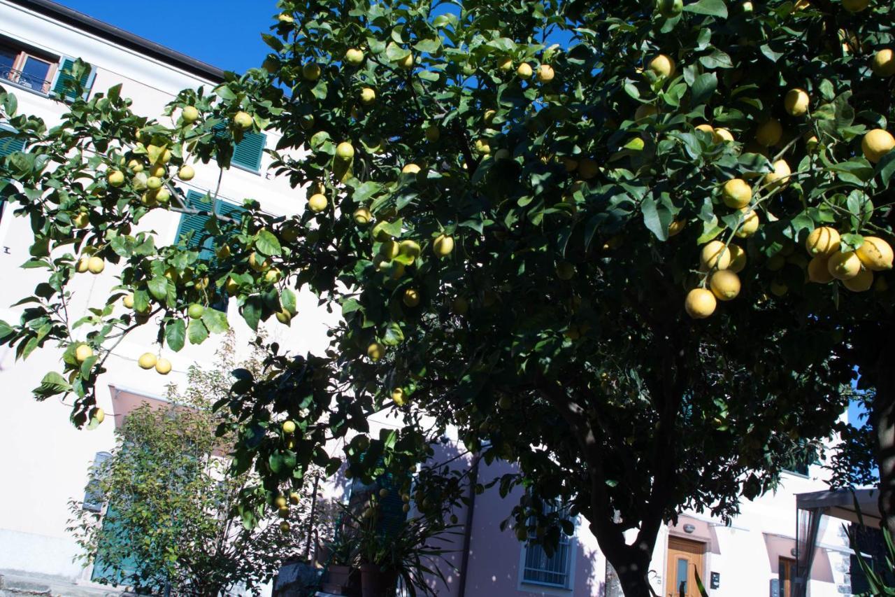 Cielo&terra2 Apartment Levanto